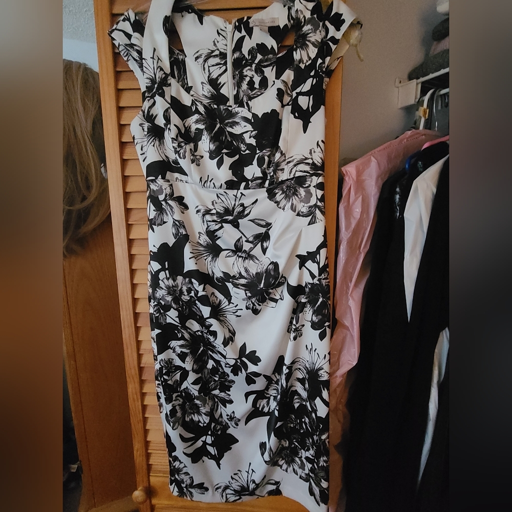 Dress barn dress